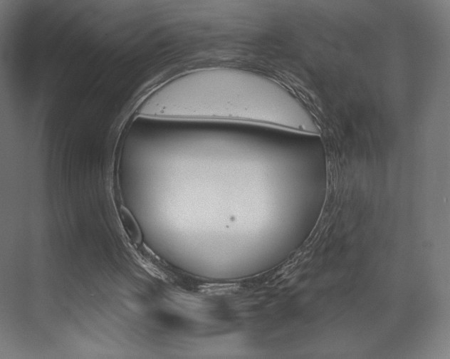X0000073430051200607281016