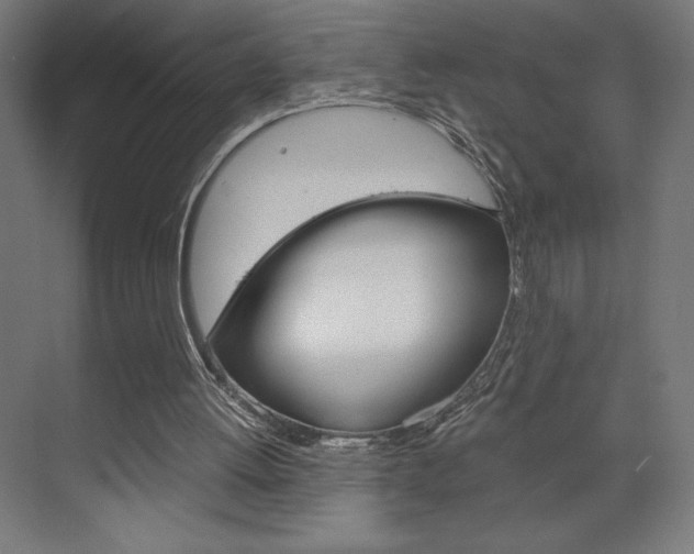 X0000073430052200607281016