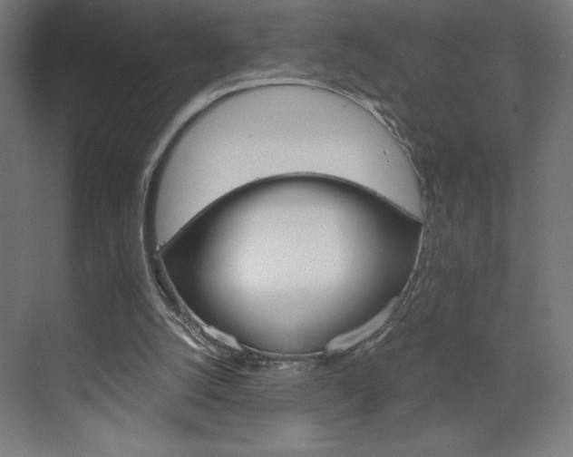X0000073430056200607281016