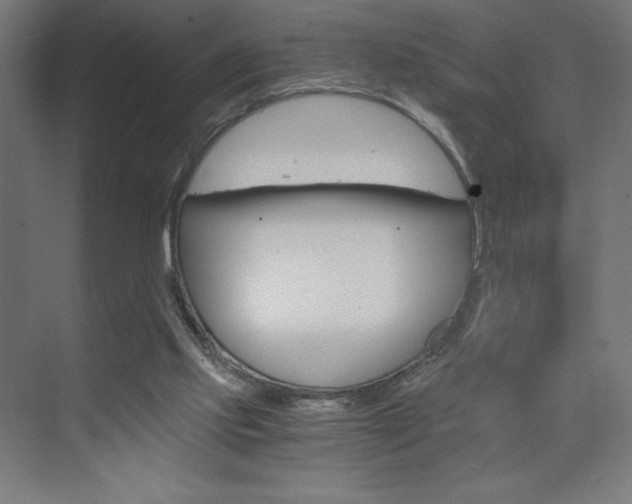X0000073430061200607281016