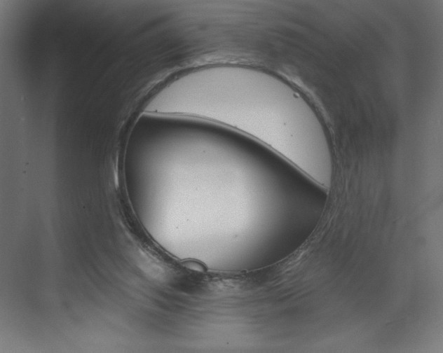 X0000073430062200607281016