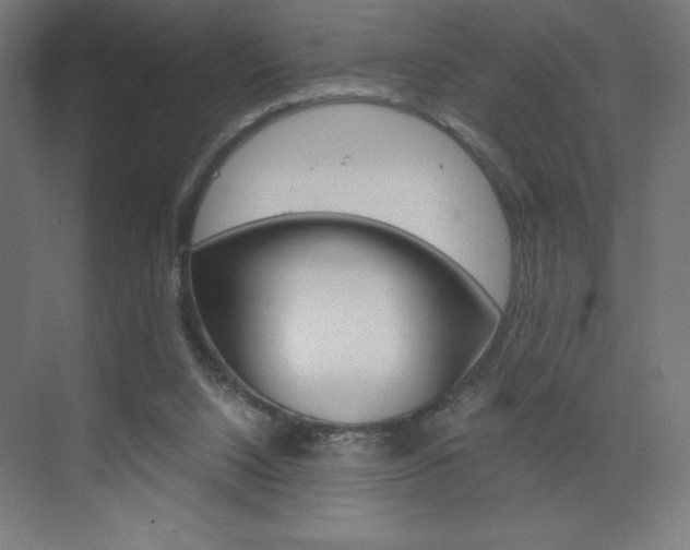 X0000073430064200607281016