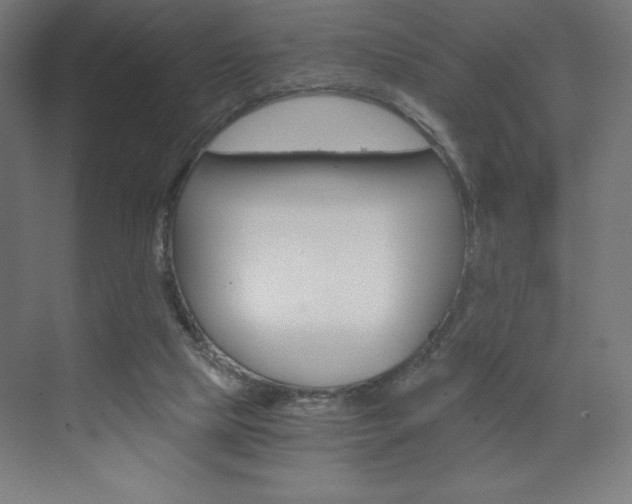 X0000073430065200607281016