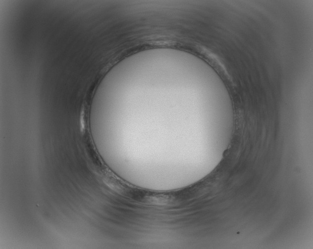 X0000073430069200607281016