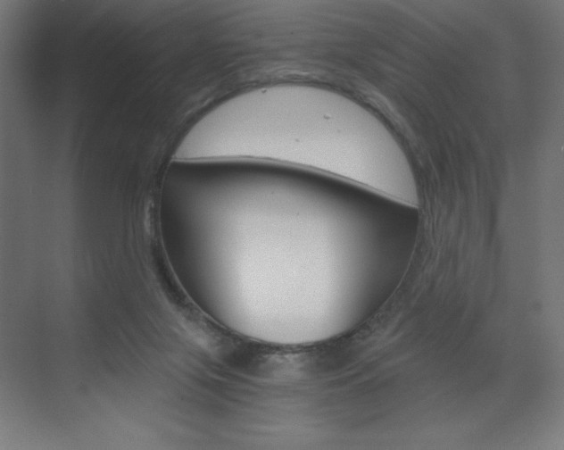 X0000073430071200607281016