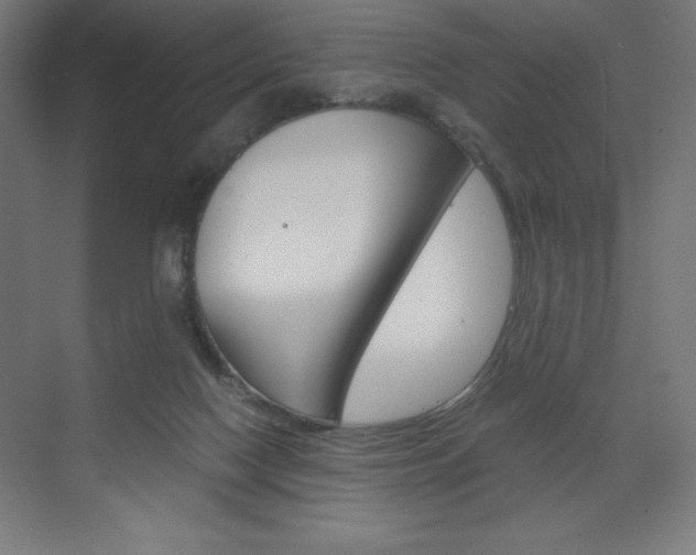 X0000073430074200607281016