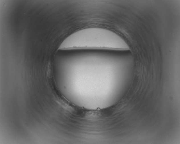X0000073430077200607281016