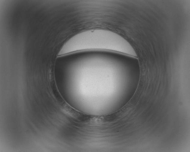 X0000073430080200607281016
