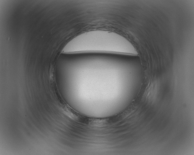 X0000073430081200607281016