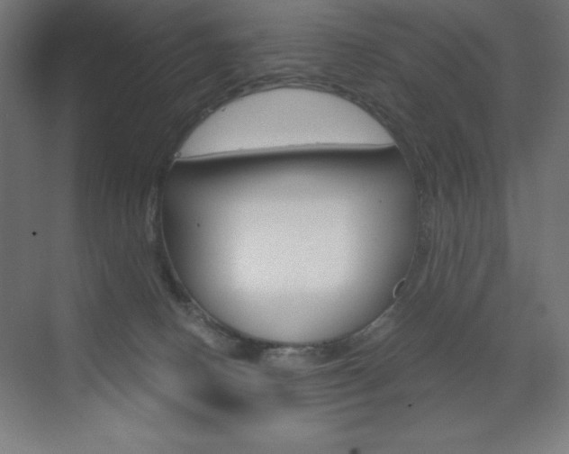 X0000073430082200607281016