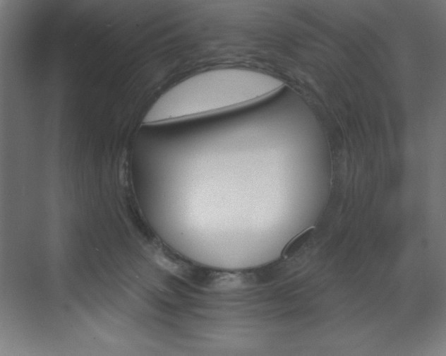 X0000073430083200607281016