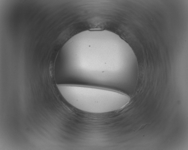 X0000073430090200607281016