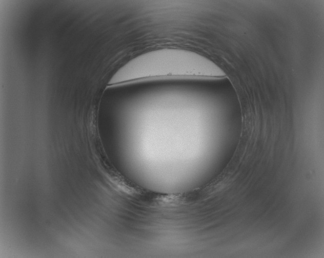 X0000073430092200607281016