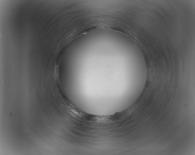 X0000073430093200607281016