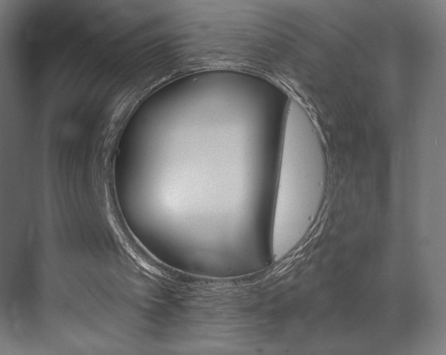 X0000073430097200607281016
