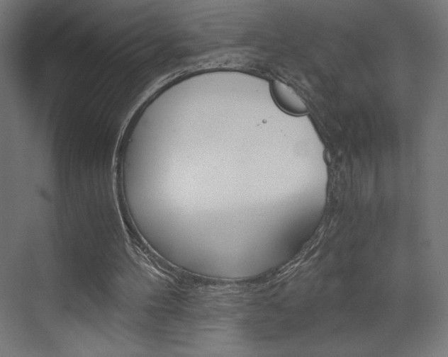 X0000073430100200607281015