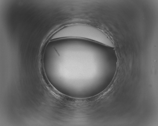 X0000073430101200607281015