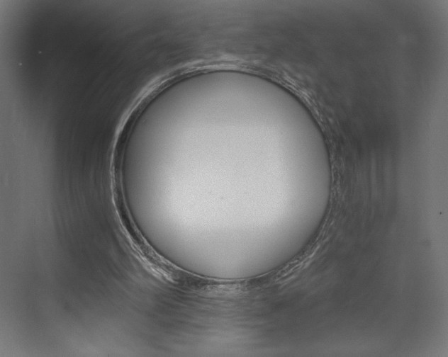 X0000073430102200607281015