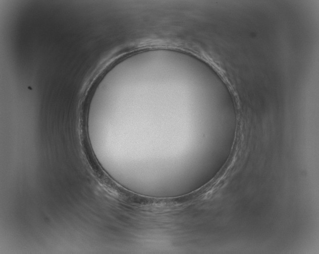 X0000073430103200607281015