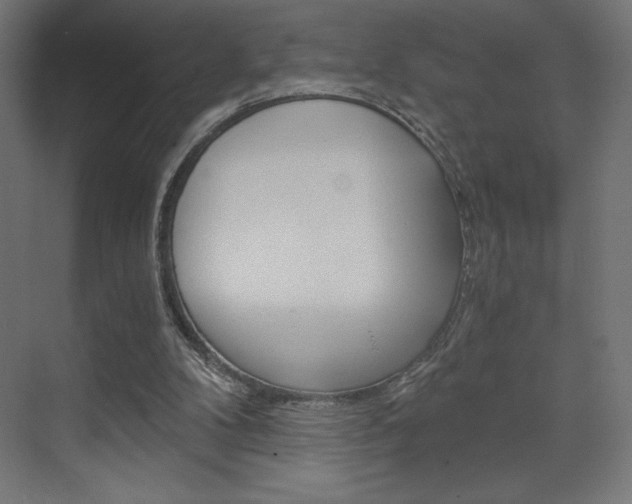 X0000073430104200607281015