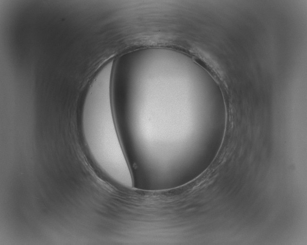 X0000073430105200607281015