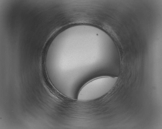 X0000073430108200607281015