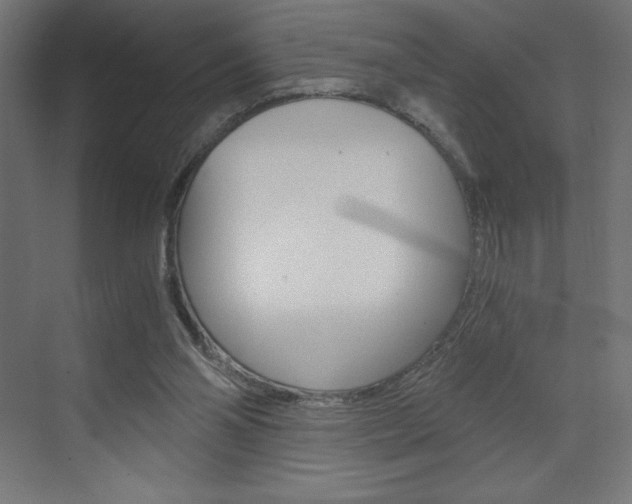 X0000073430110200607281015