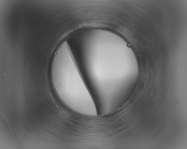 X0000073430111200607281015