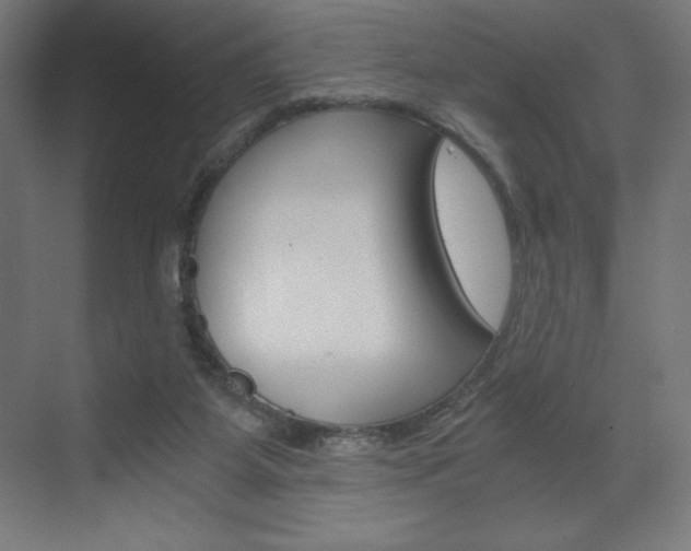 X0000073430115200607281015