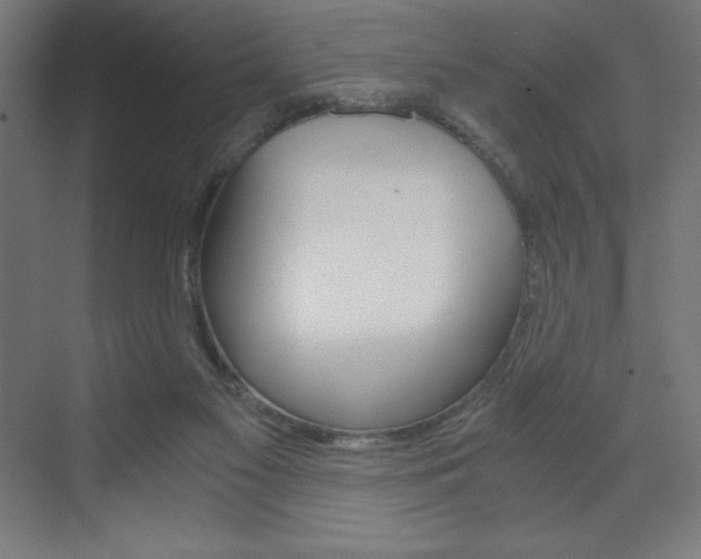 X0000073430117200607281015