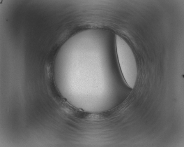 X0000073430123200607281015