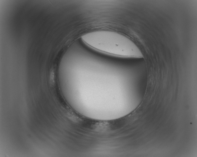 X0000073430124200607281015