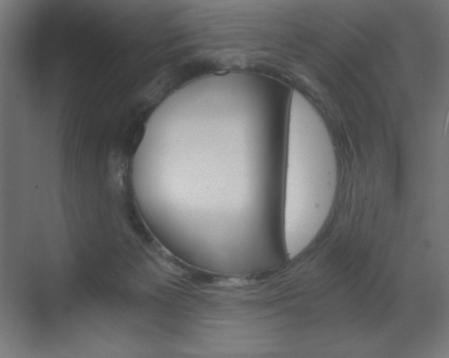 X0000073430125200607281015