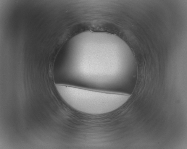 X0000073430129200607281015