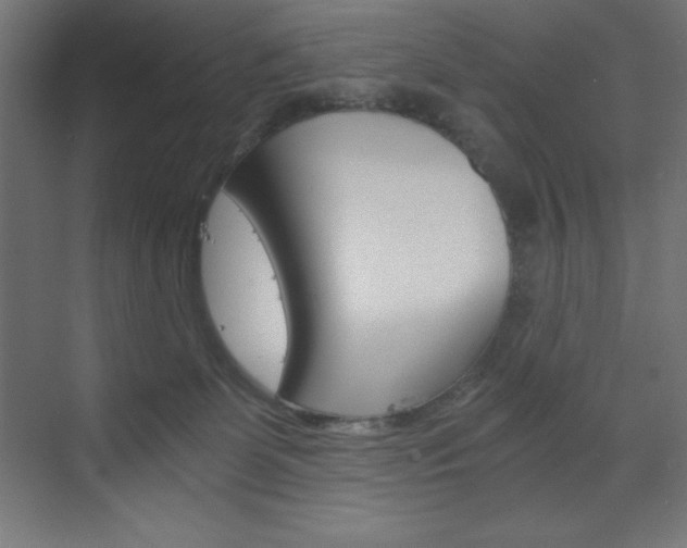 X0000073430131200607281015