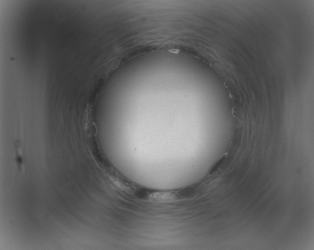X0000073430133200607281015