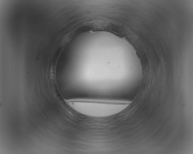 X0000073430137200607281015