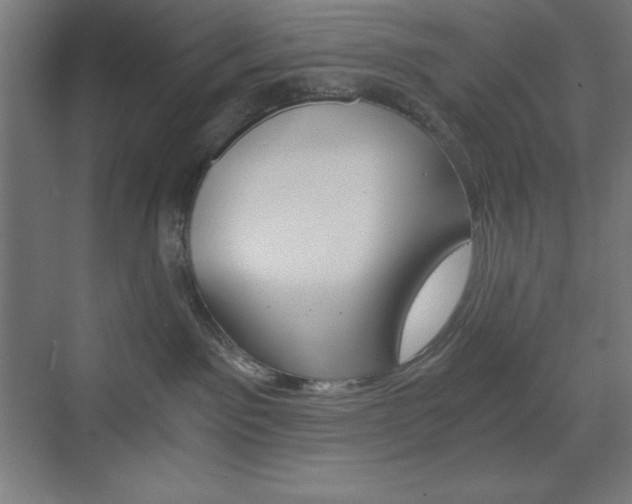 X0000073430141200607281015