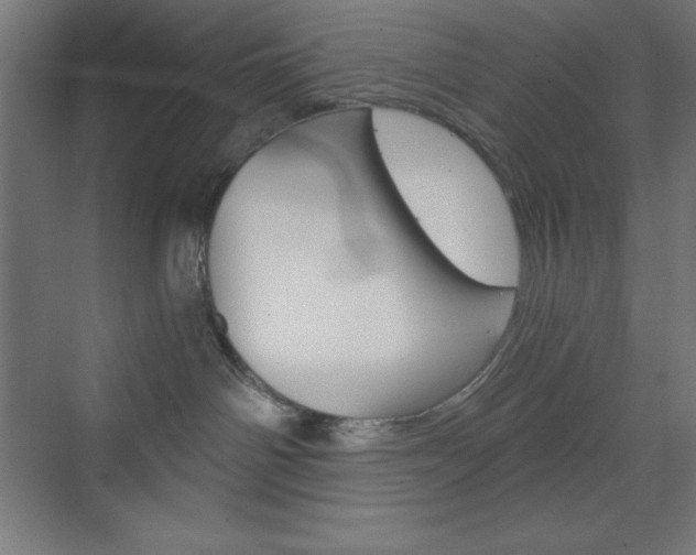 X0000073430142200607281015