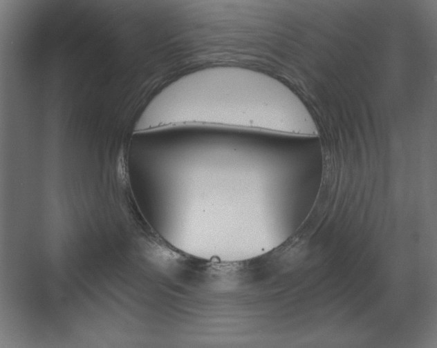 X0000073430143200607281015