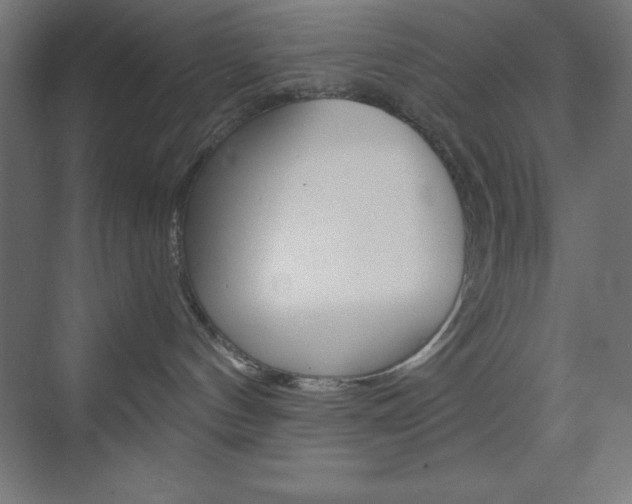 X0000073430144200607281015
