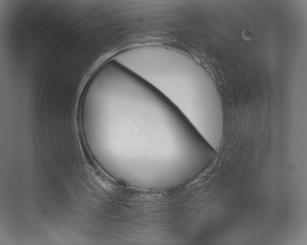 X0000073430147200607281014