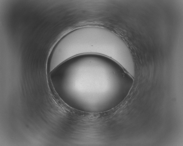 X0000073430148200607281014
