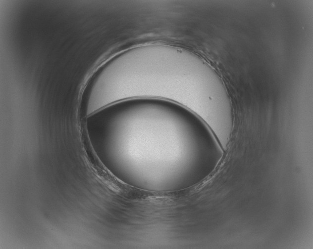X0000073430150200607281014