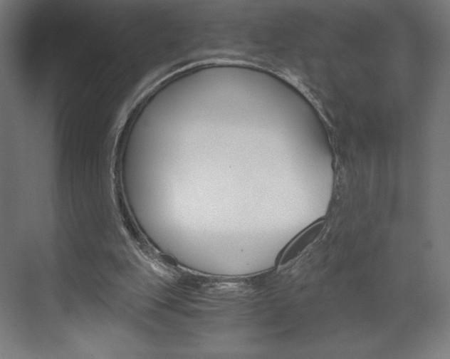 X0000073430151200607281014