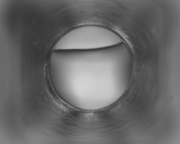X0000073430153200607281014