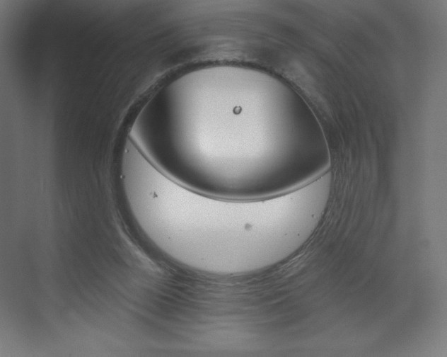 X0000073430160200607281014