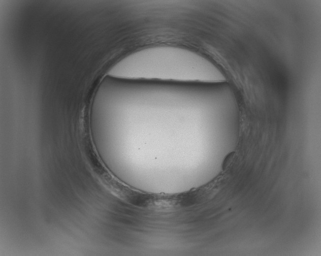 X0000073430163200607281014