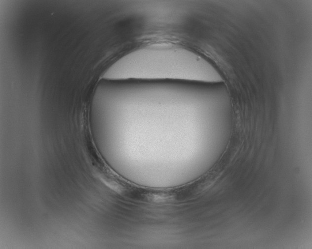 X0000073430165200607281014