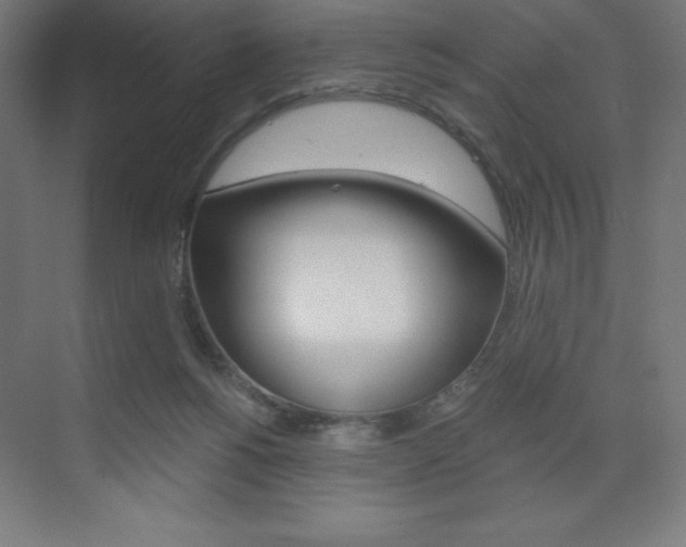 X0000073430168200607281014